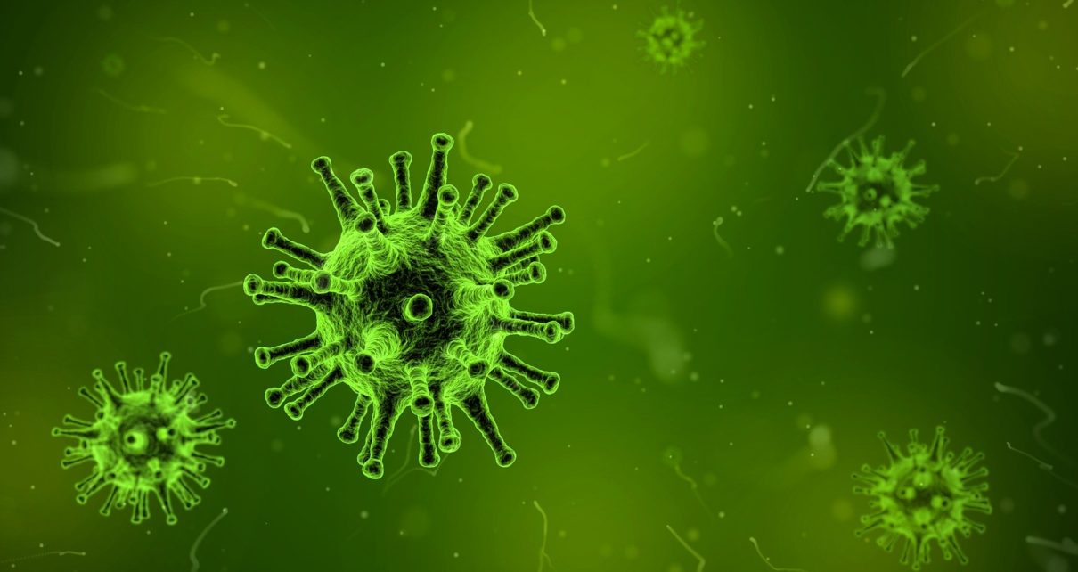 Corona Virus